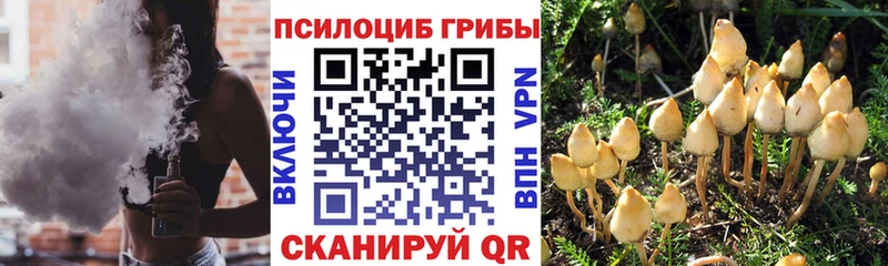 Галлюциногенные грибы мухоморы  ОМГ ОМГ tor  мориарти официальный сайт  Холм 